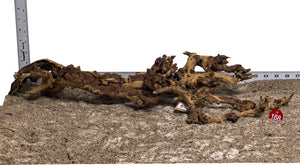 WYSIWYG #168RD - Gnarly Wood (XL)