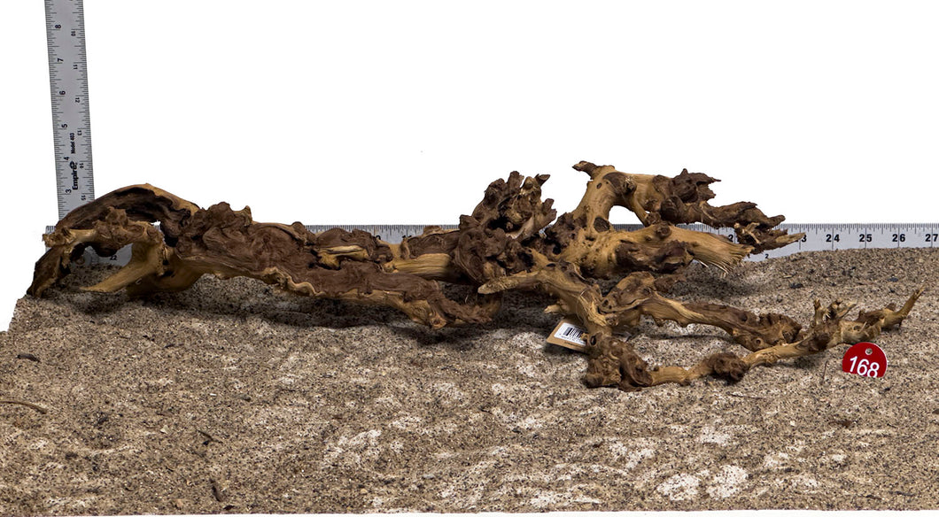 WYSIWYG #168RD - Gnarly Wood (XL)
