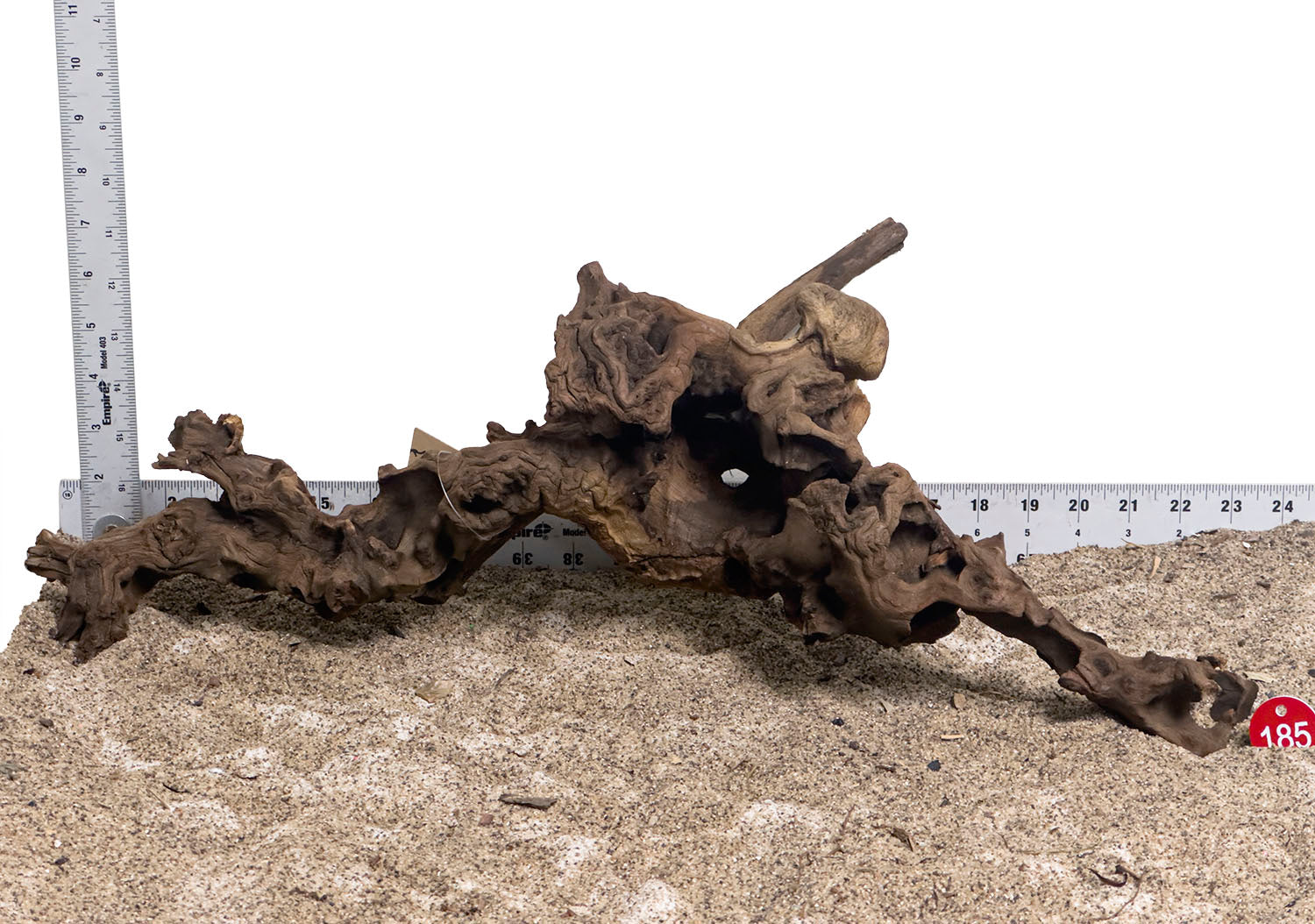 WYSIWYG #185RD - Gnarly Wood (XL)