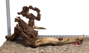 WYSIWYG #86RD - Gnarly Wood (XL)