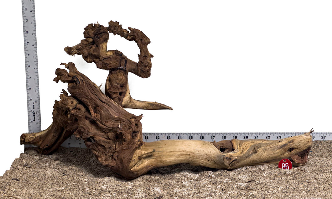 WYSIWYG #86RD - Gnarly Wood (XL)