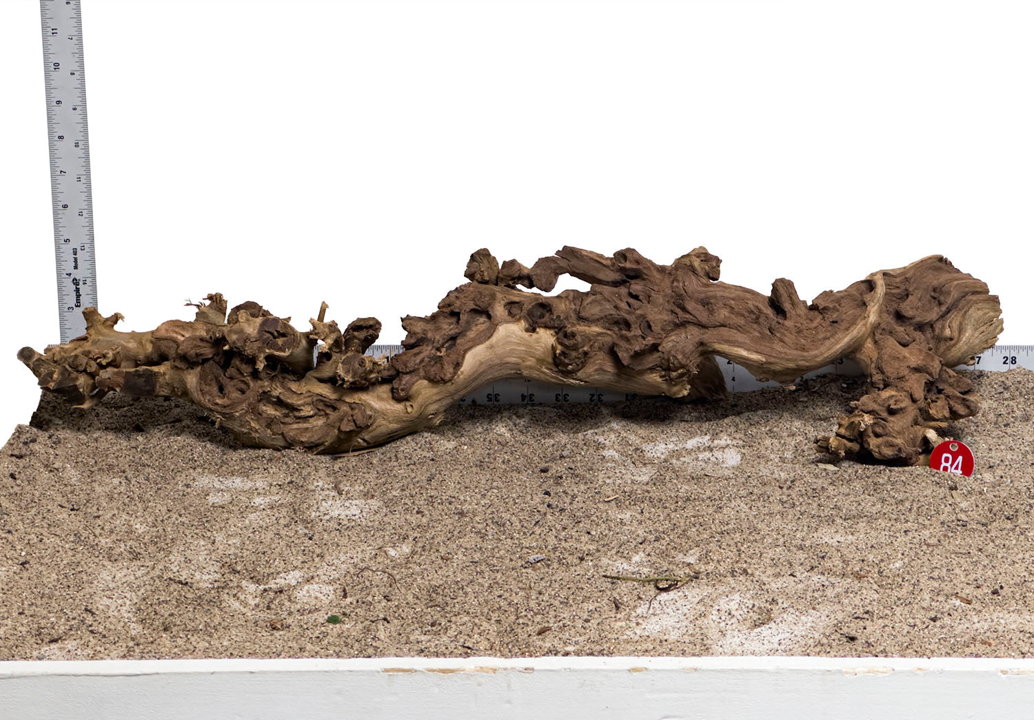 WYSIWYG #84RD - Gnarly Wood (XXL)