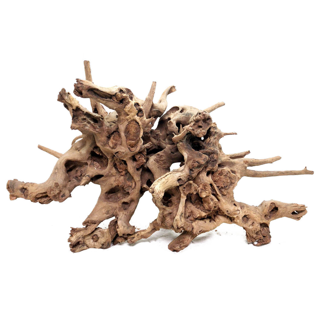 Gnarly Wood