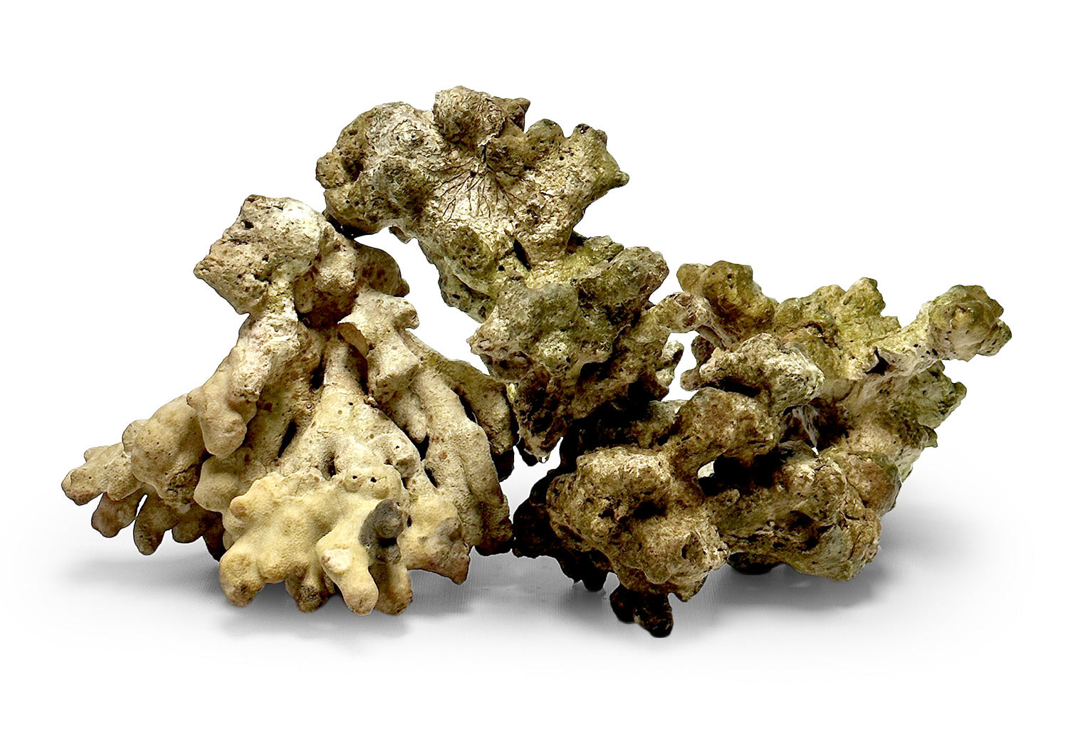 Jakarta Reef Rock (from Live Rock that has been harvested from the ocean) 44lb Mixed Box