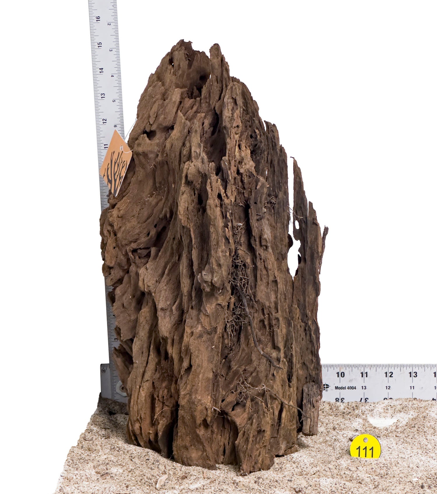 WYSIWYG #111Y - Malaysian Mangrove Wood (Large)