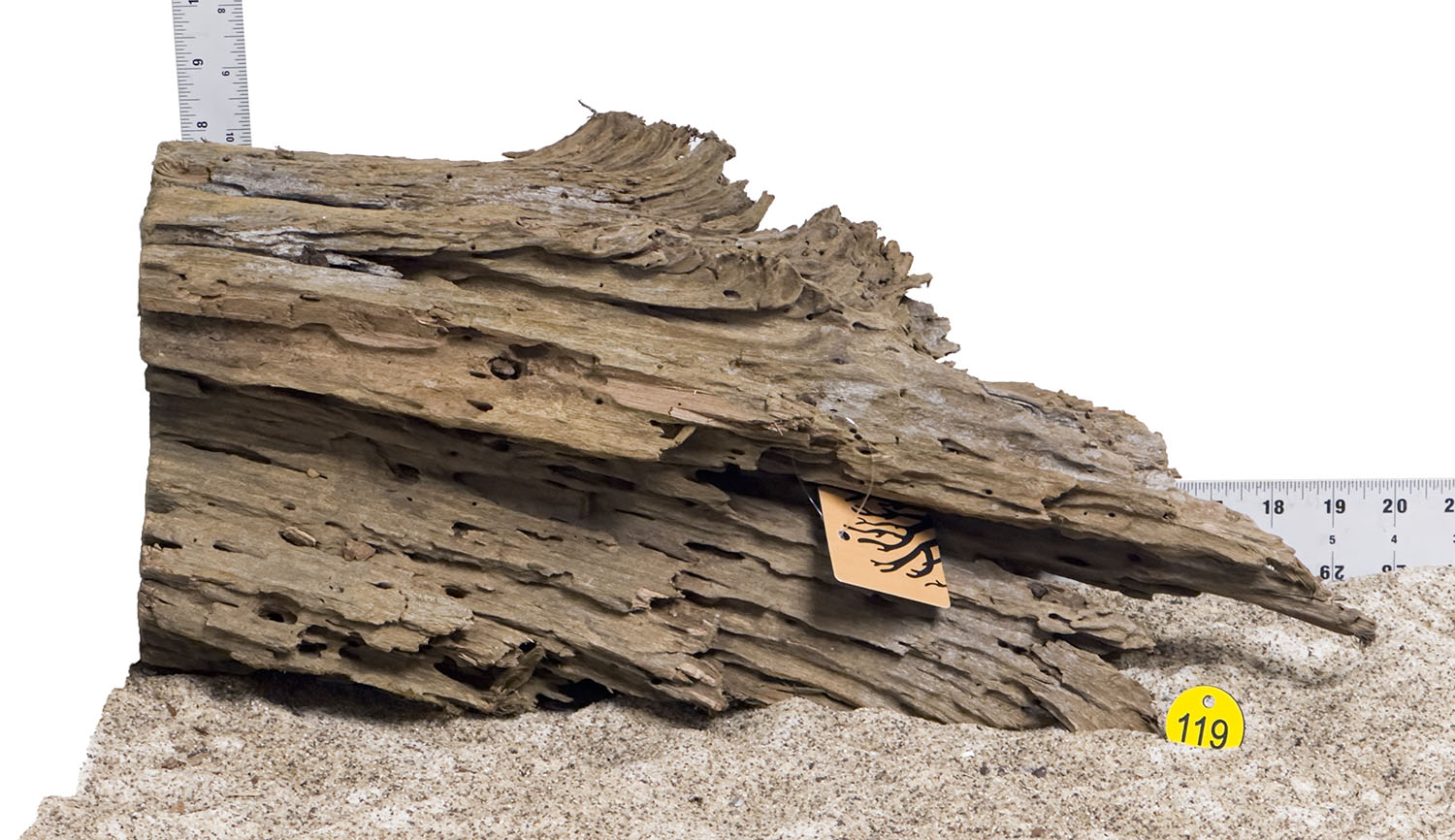 WYSIWYG #119Y - Malaysian Mangrove Wood (Large)