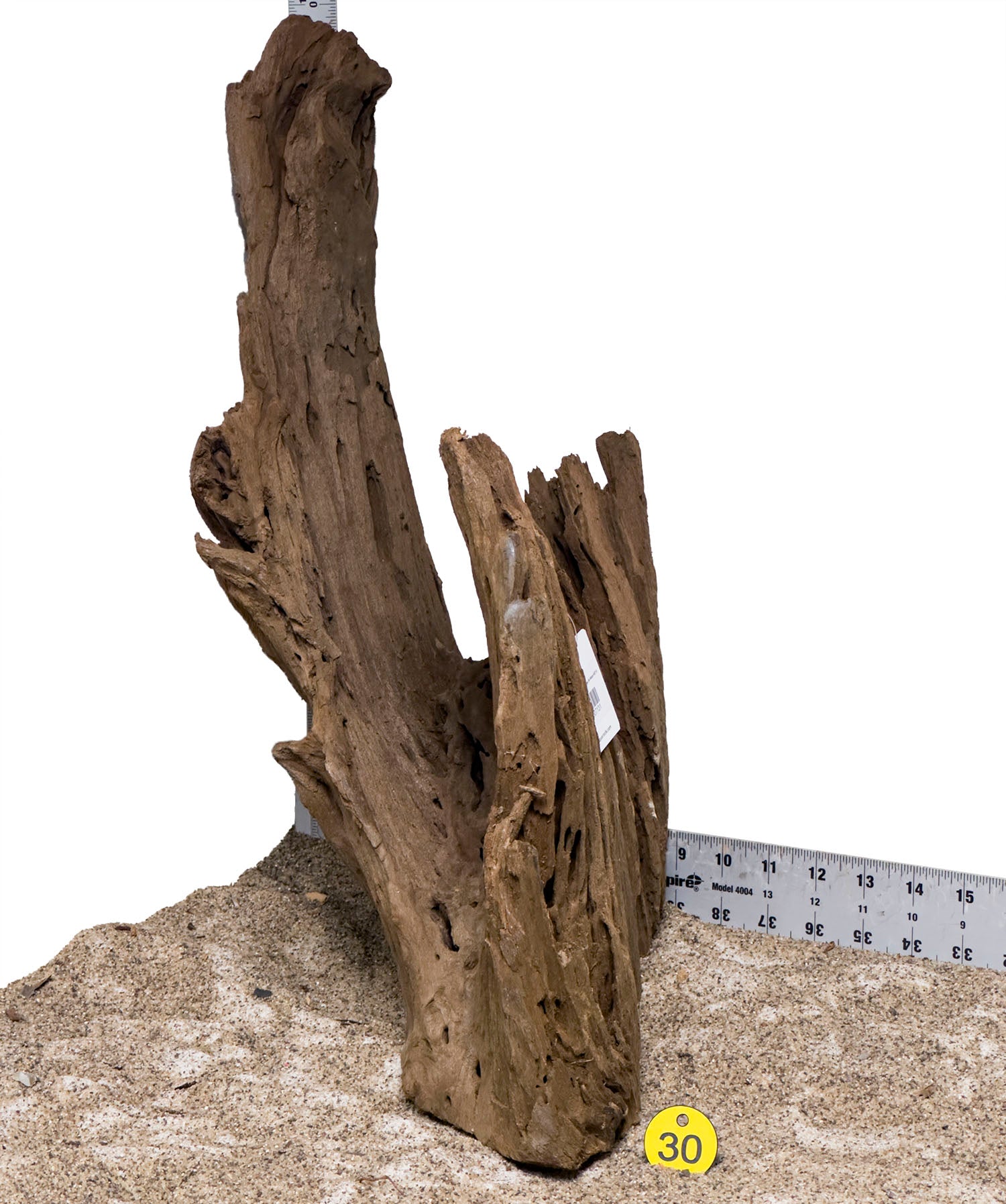 WYSIWYG #30Y - Malaysian Mangrove Wood (Large)
