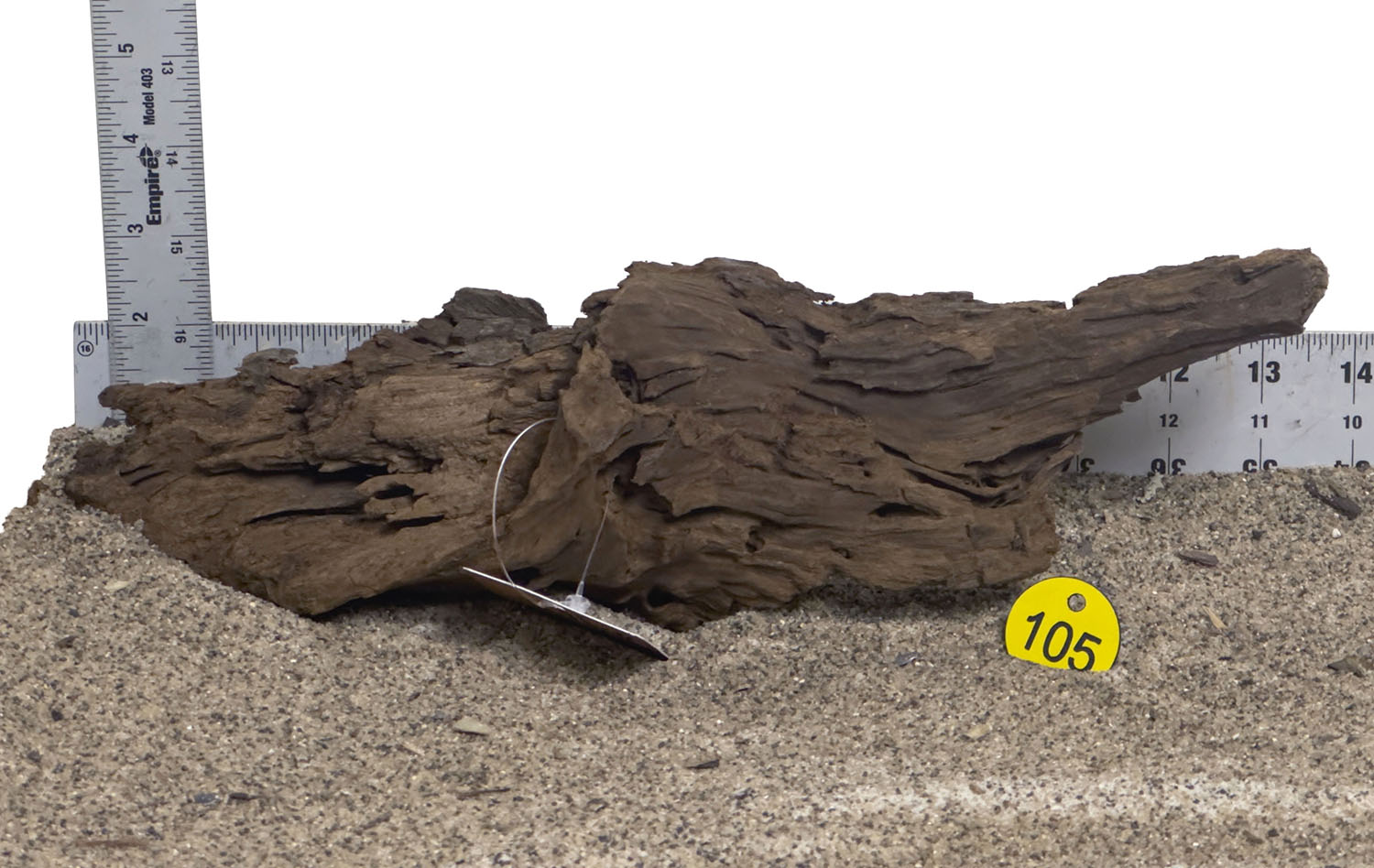 WYSIWYG #105Y - Malaysian Mangrove Wood (Medium)