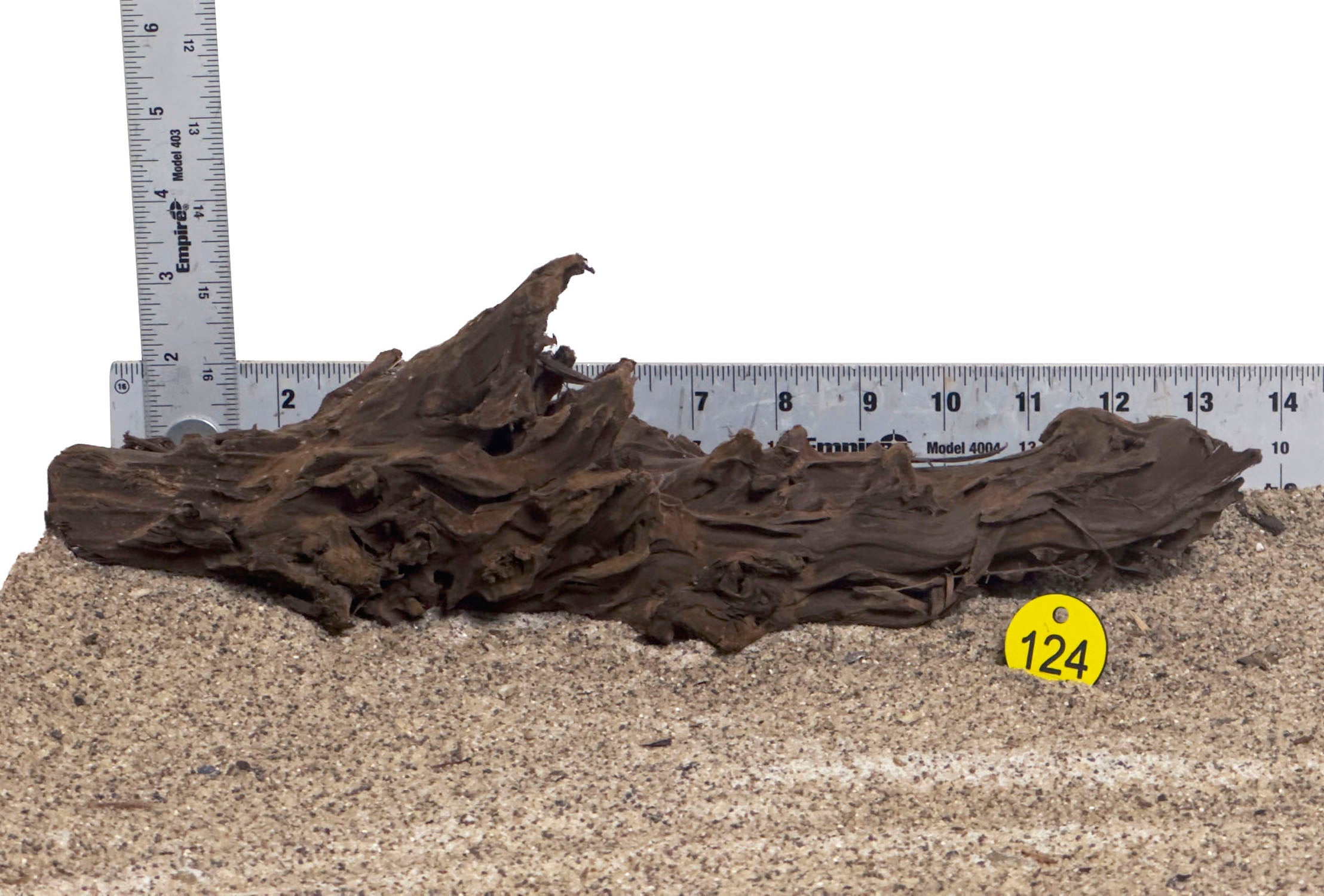 WYSIWYG #124Y - Malaysian Mangrove Wood (Medium)
