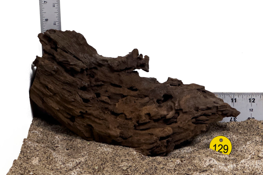 WYSIWYG #129Y - Malaysian Mangrove Wood (Medium)