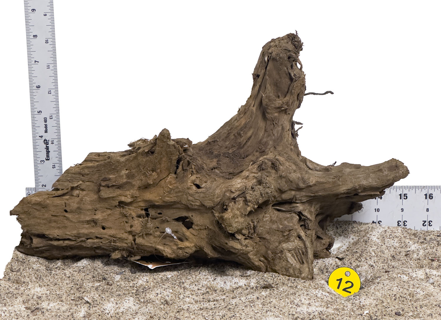 WYSIWYG #12Y - Malaysian Mangrove Wood (Medium)