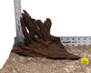 WYSIWYG #151Y - Malaysian Mangrove Wood (Medium)