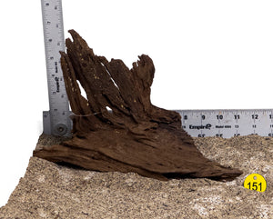 WYSIWYG #151Y - Malaysian Mangrove Wood (Medium)