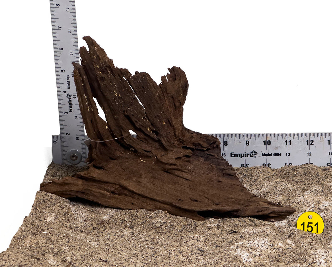 WYSIWYG #151Y - Malaysian Mangrove Wood (Medium)