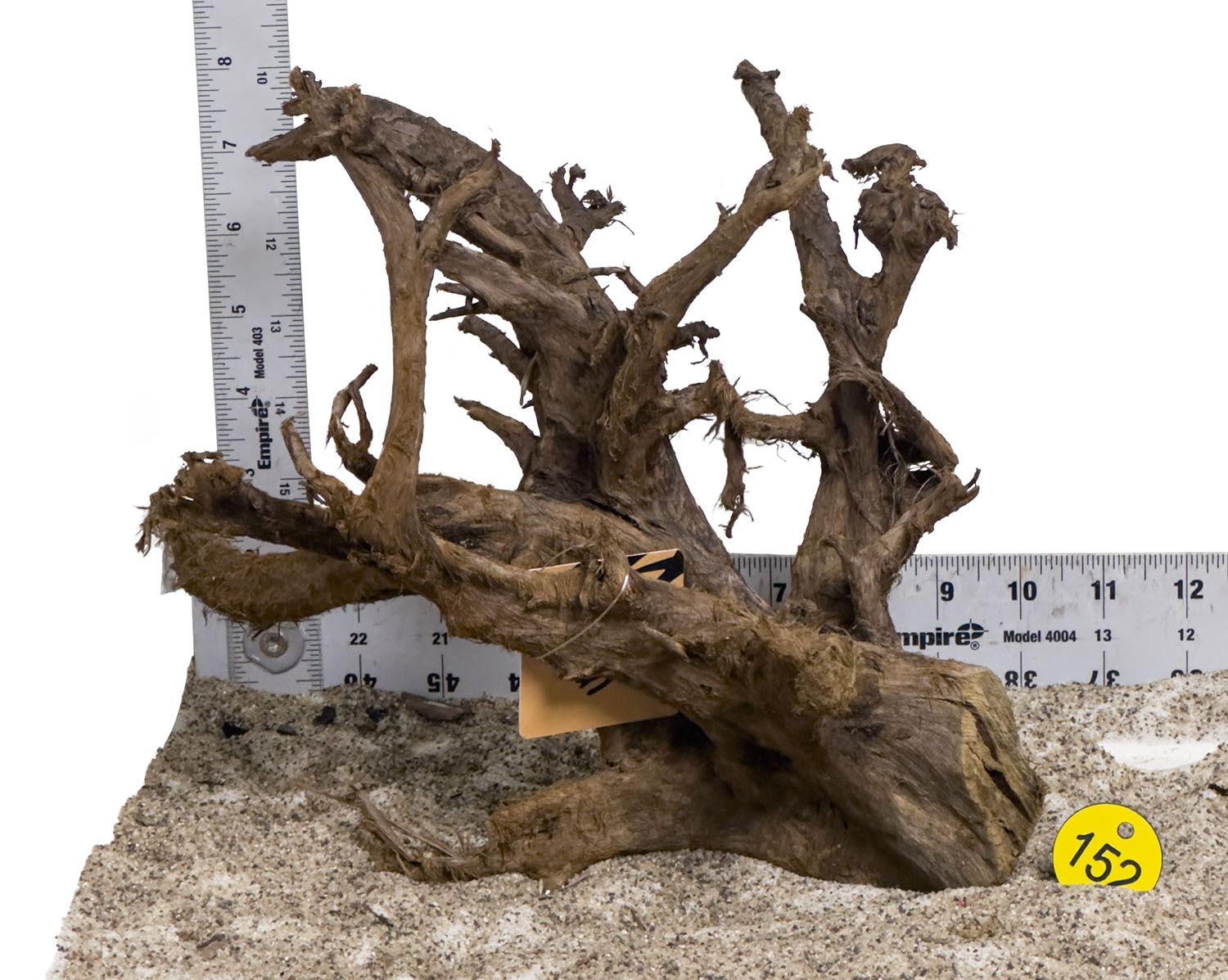 WYSIWYG #152Y - Malaysian Mangrove Wood (Medium)