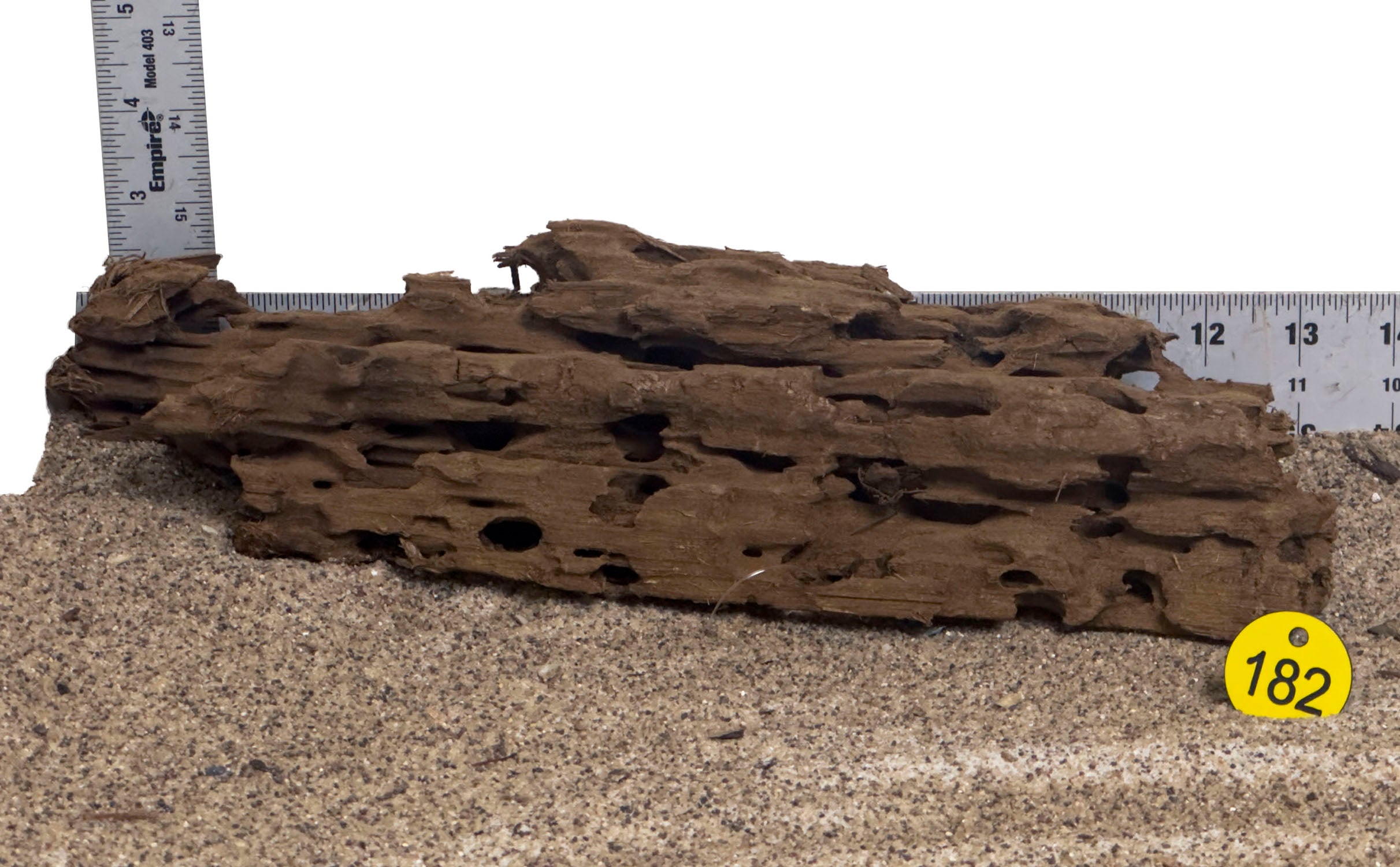 WYSIWYG #182Y - Malaysian Mangrove Wood (Medium)