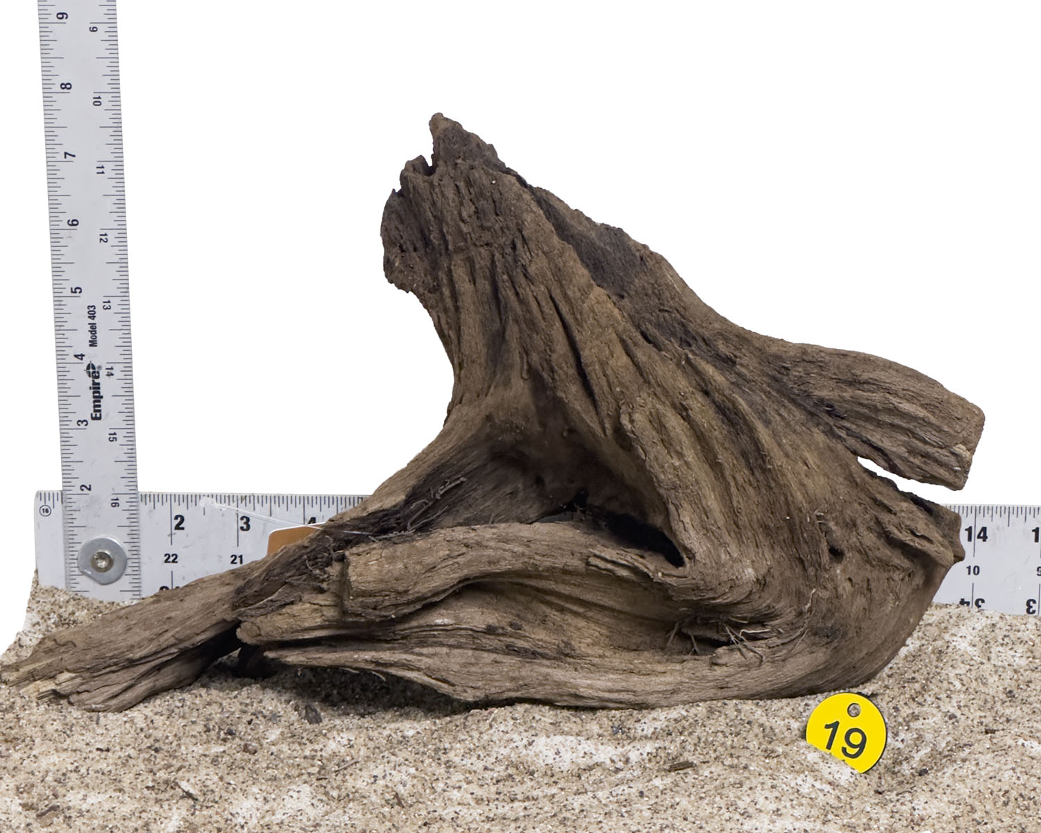 WYSIWYG #19Y - Malaysian Mangrove Wood (Medium)