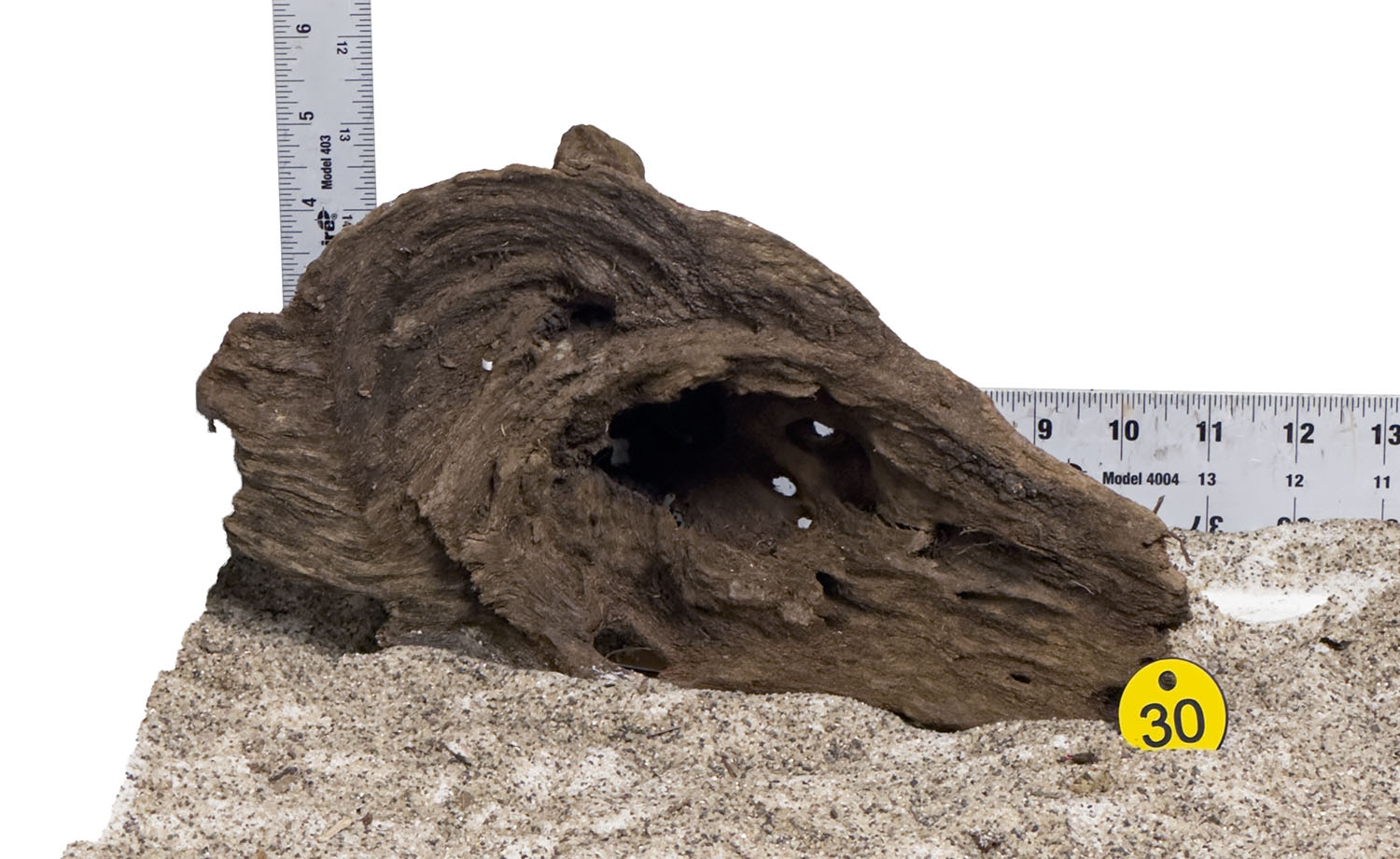 WYSIWYG #30Y - Malaysian Mangrove Wood (Medium)