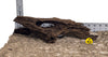 WYSIWYG #43Y - Malaysian Mangrove Wood (Medium)
