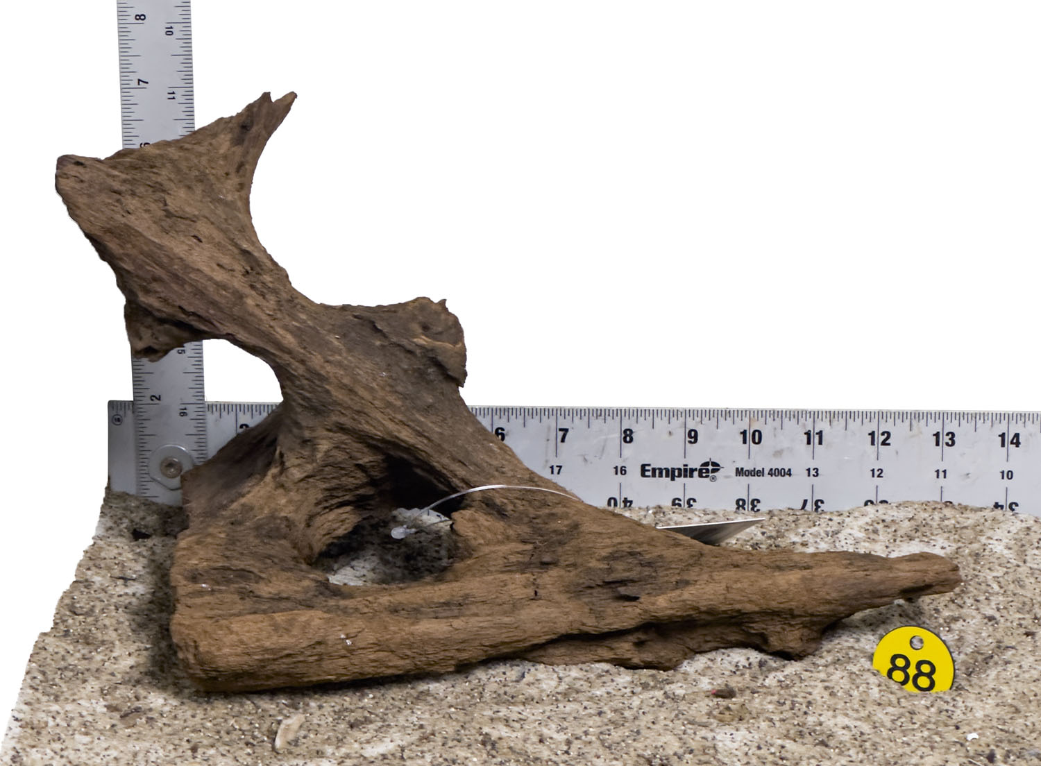 WYSIWYG #88Y - Malaysian Mangrove Wood (Medium)