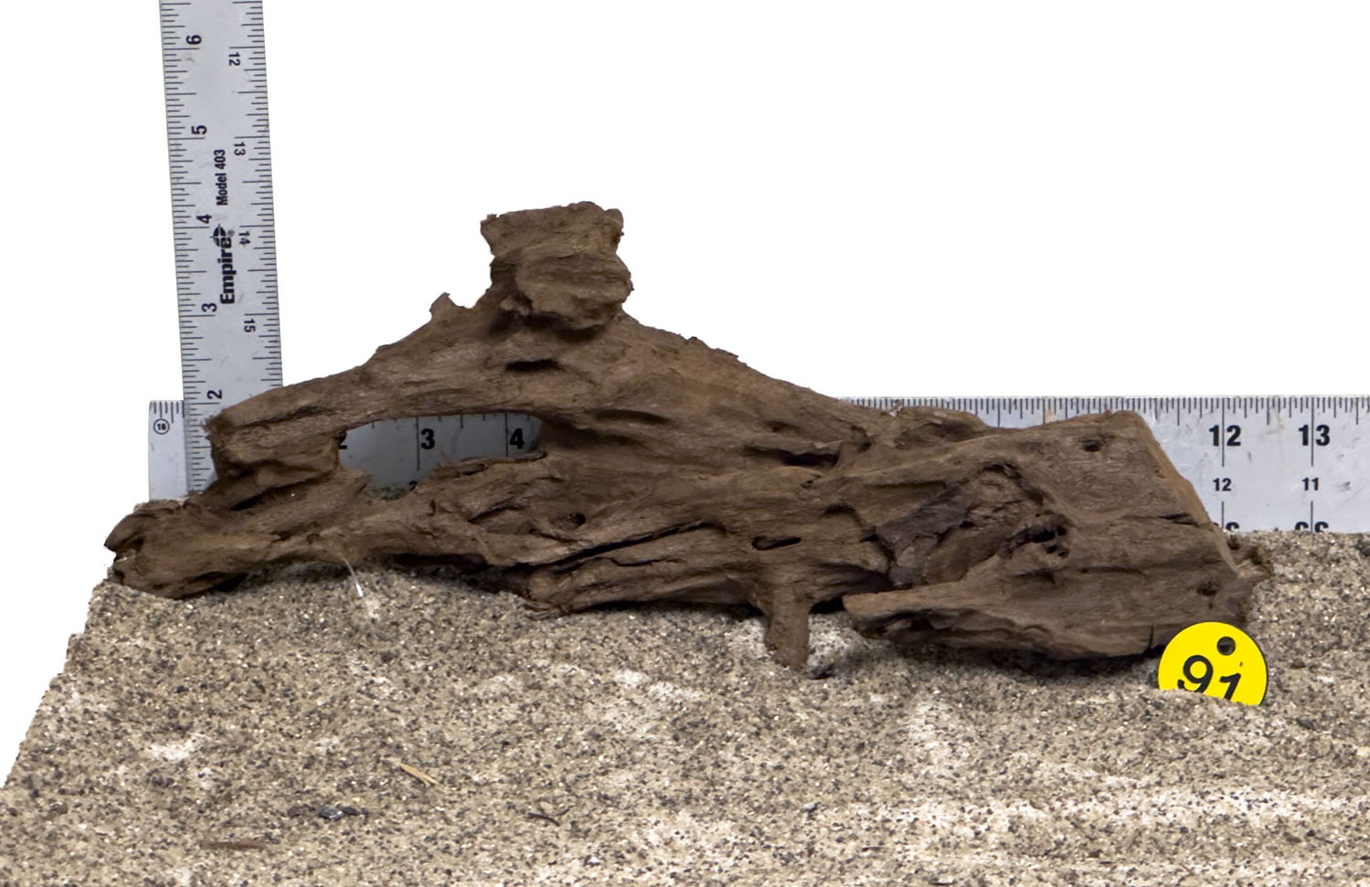 WYSIWYG #91Y - Malaysian Mangrove Wood (Medium)