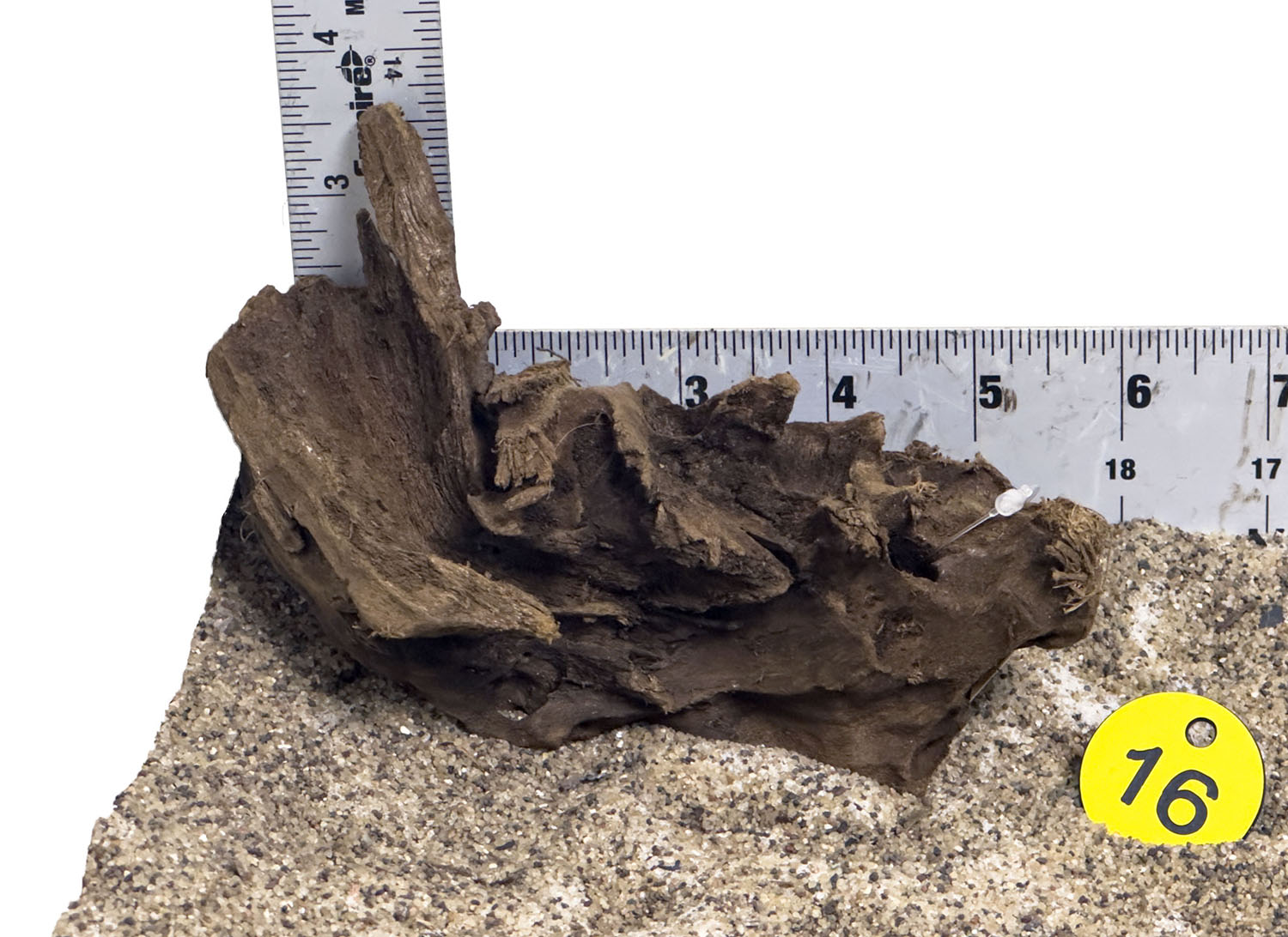 WYSIWYG #16Y - Malaysian Mangrove Wood (MINI)