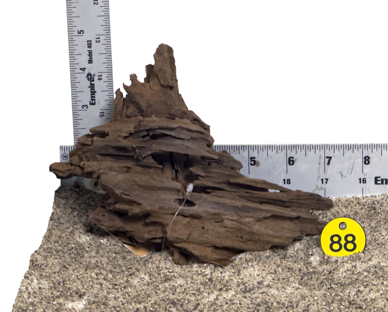 WYSIWYG #88Y - Malaysian Mangrove Wood (MINI)