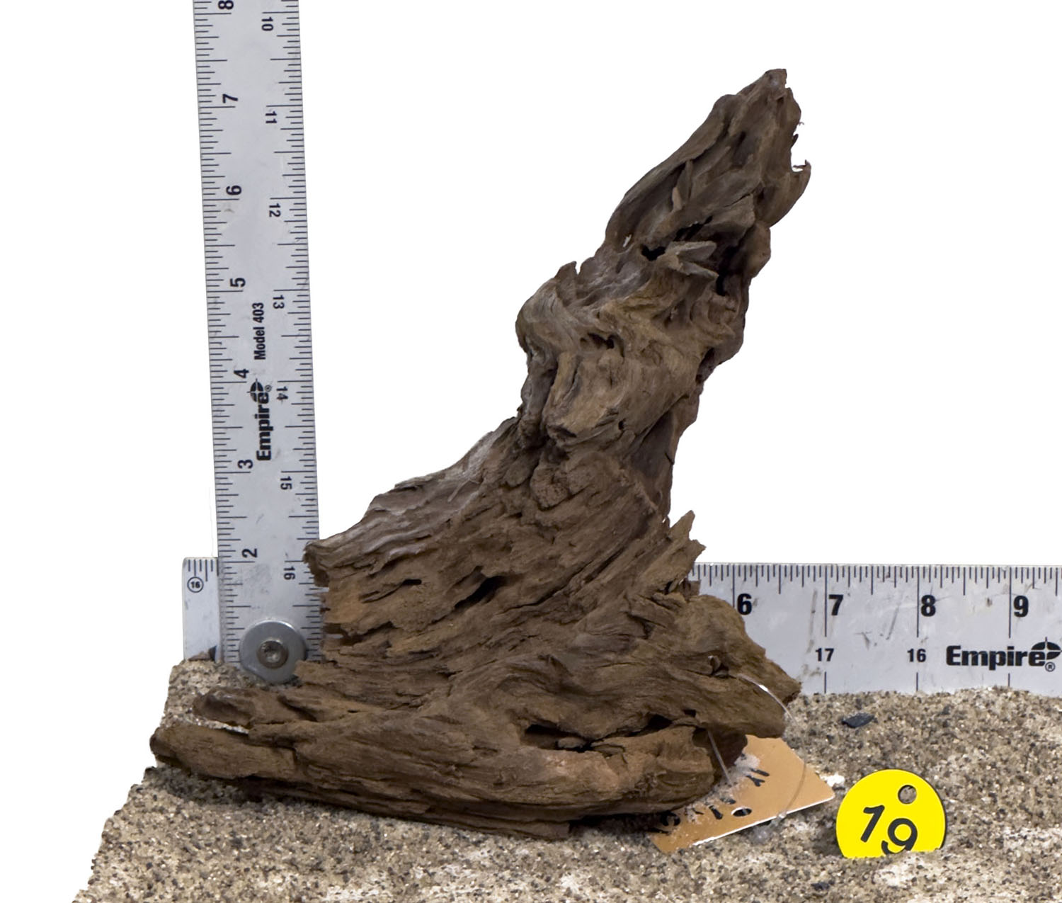 WYSIWYG #19Y - Malaysian Mangrove Wood (Small)
