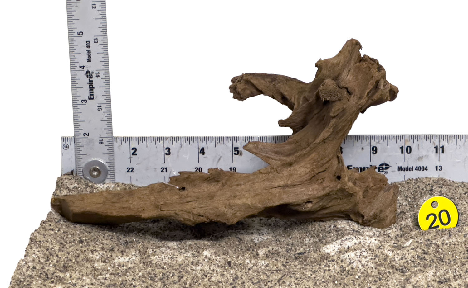 WYSIWYG #20Y - Malaysian Mangrove Wood (Small)