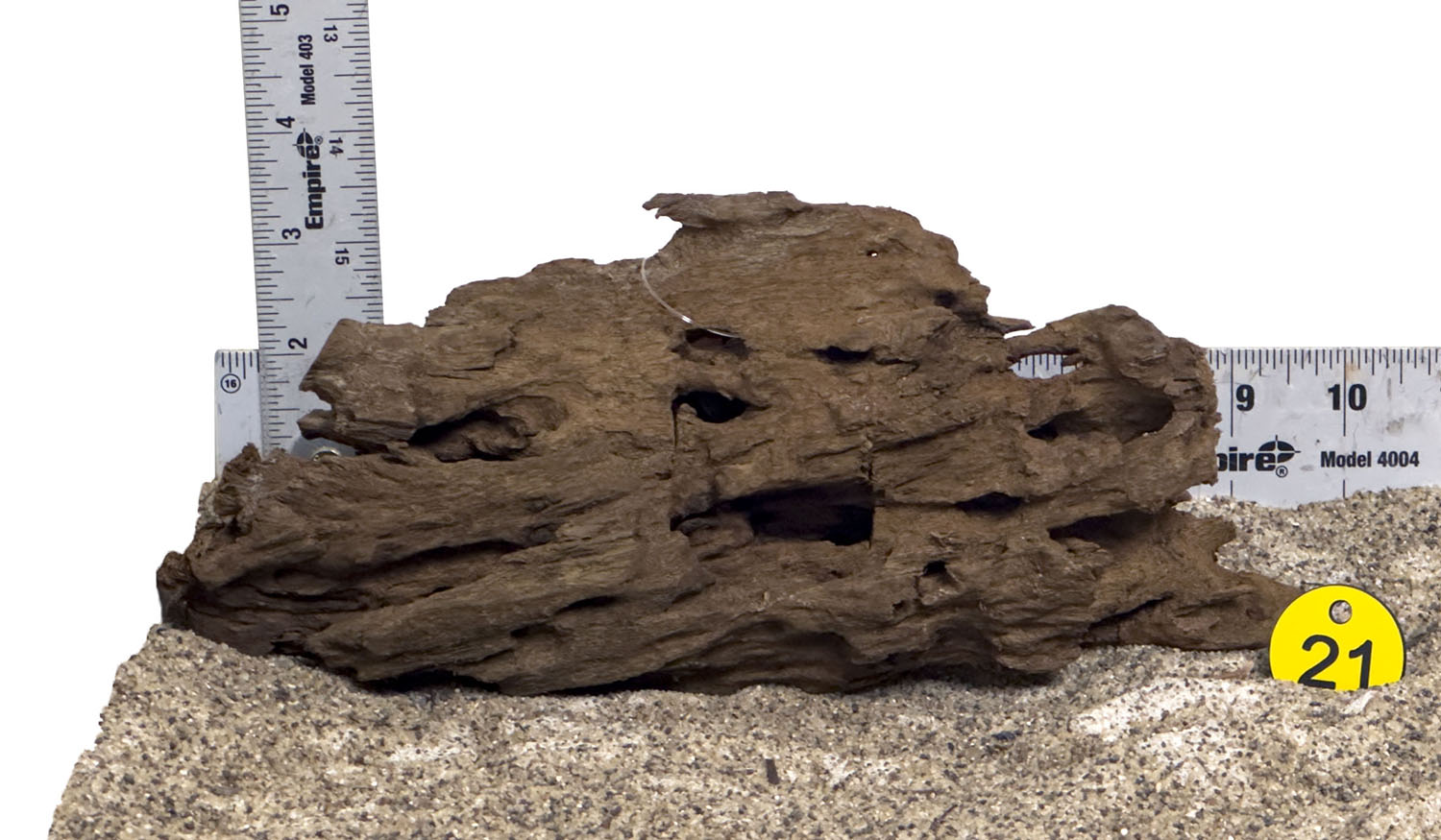 WYSIWYG #21Y - Malaysian Mangrove Wood (Small)