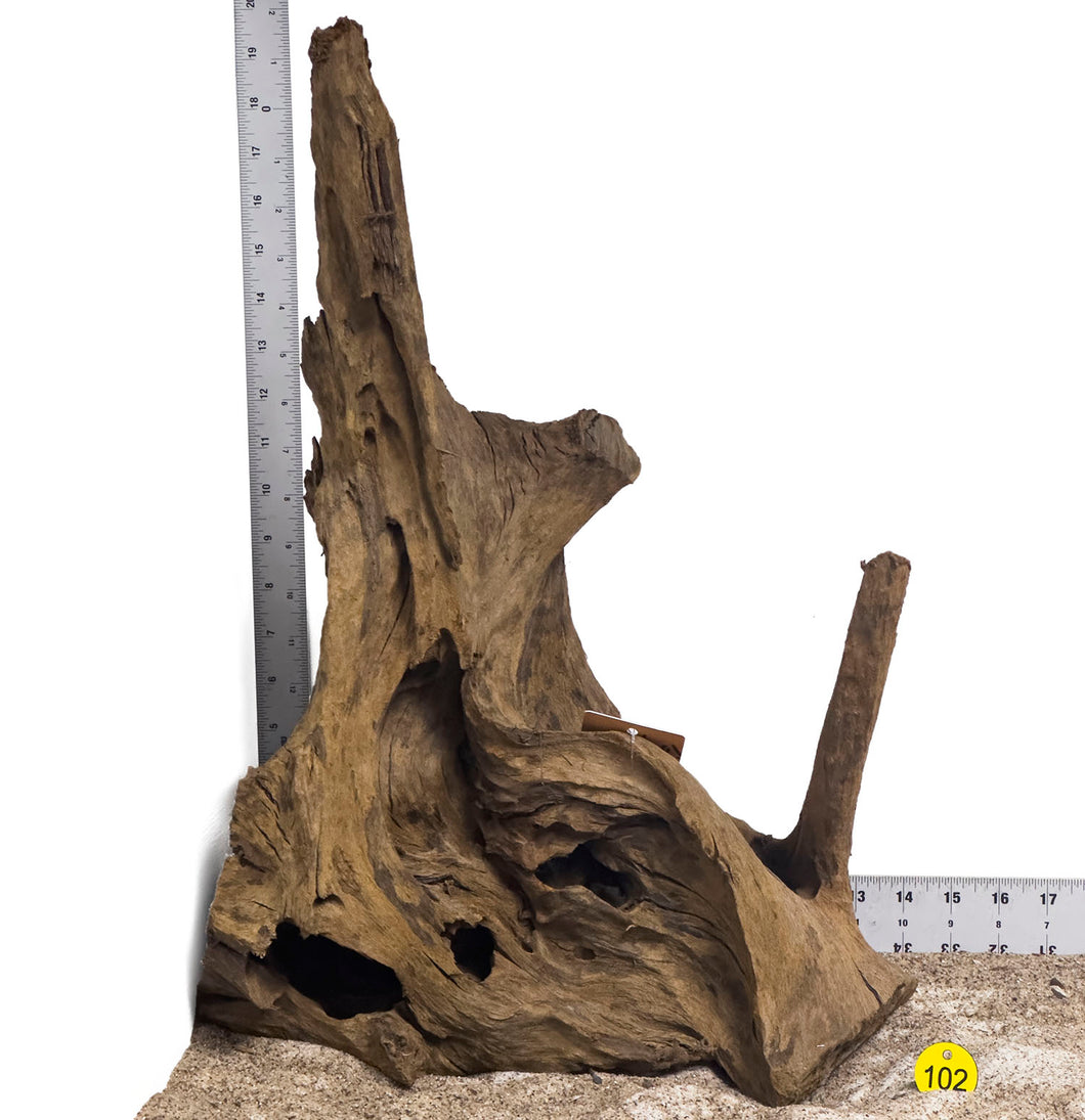WYSIWYG #102Y - Malaysian Mangrove Wood (XL)