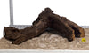 WYSIWYG #189Y - Malaysian Mangrove Wood (XL)