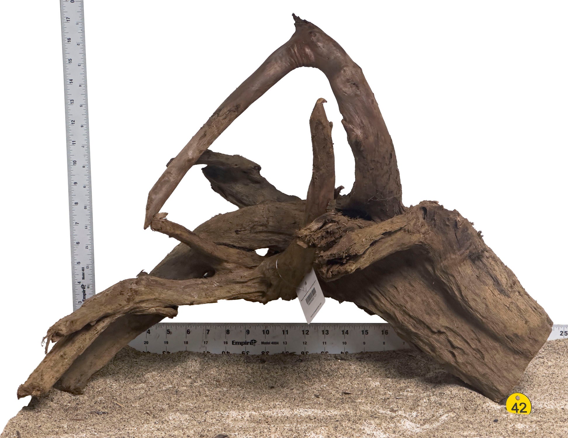 WYSIWYG #42Y - Malaysian Mangrove Wood (XL)