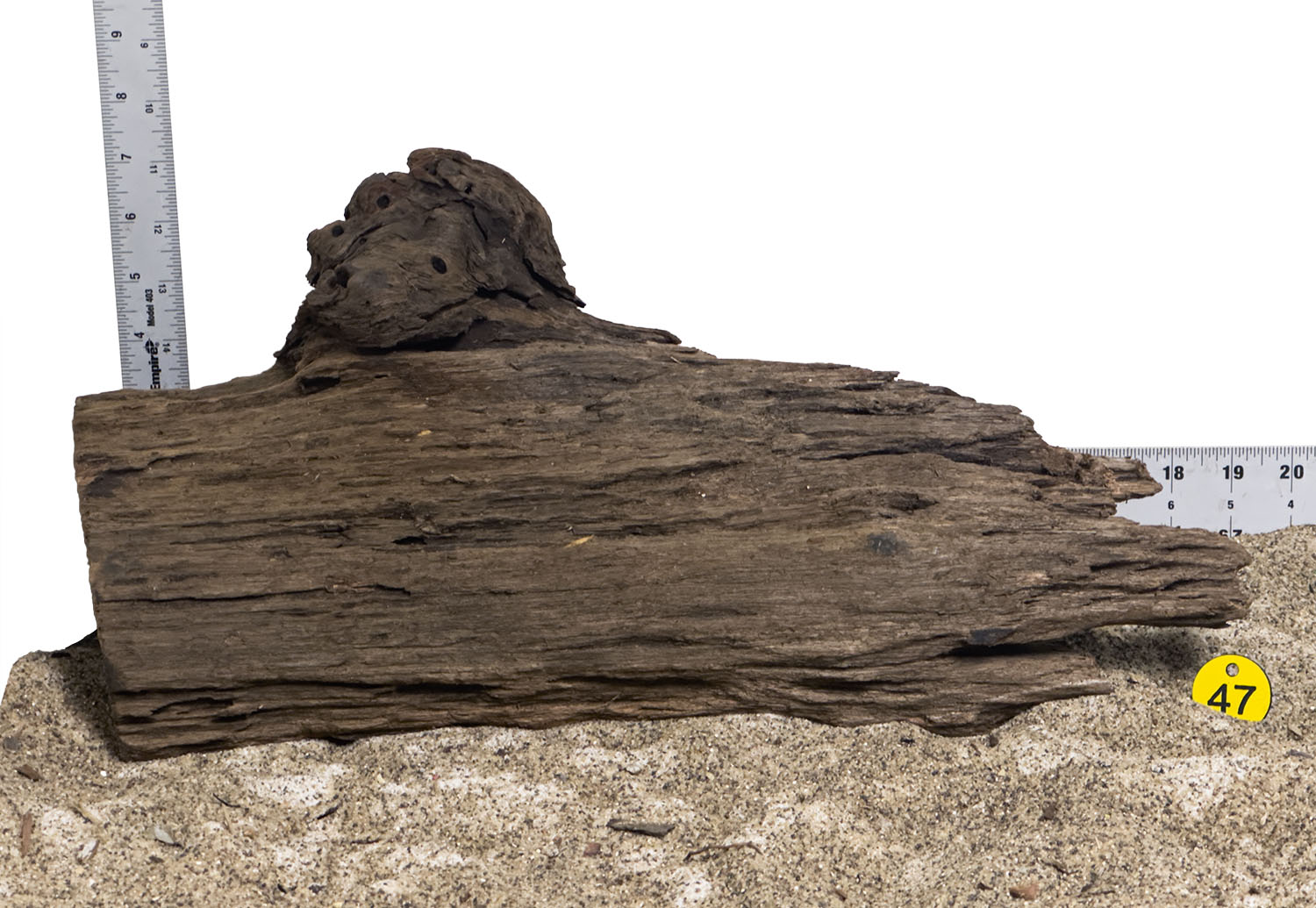 WYSIWYG #47Y - Malaysian Mangrove Wood (XL)