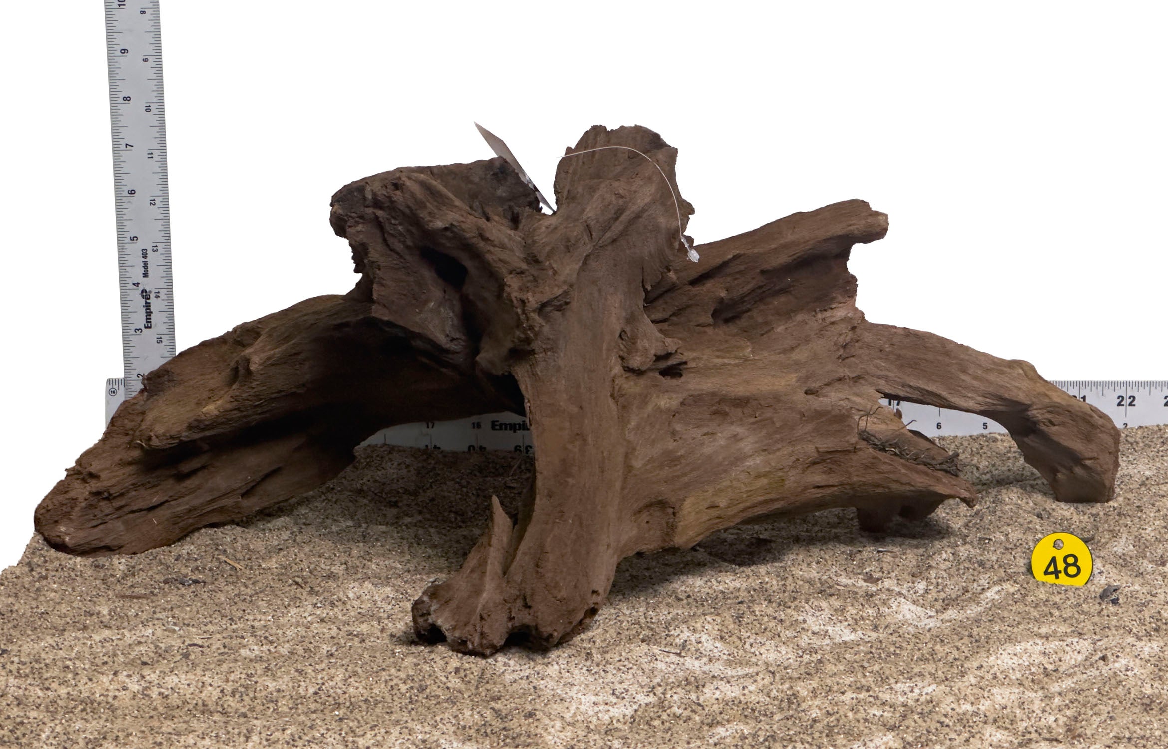 WYSIWYG #48Y - Malaysian Mangrove Wood (XL)