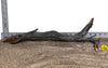 WYSIWYG #178Y - Manzanita Wood (Large)
