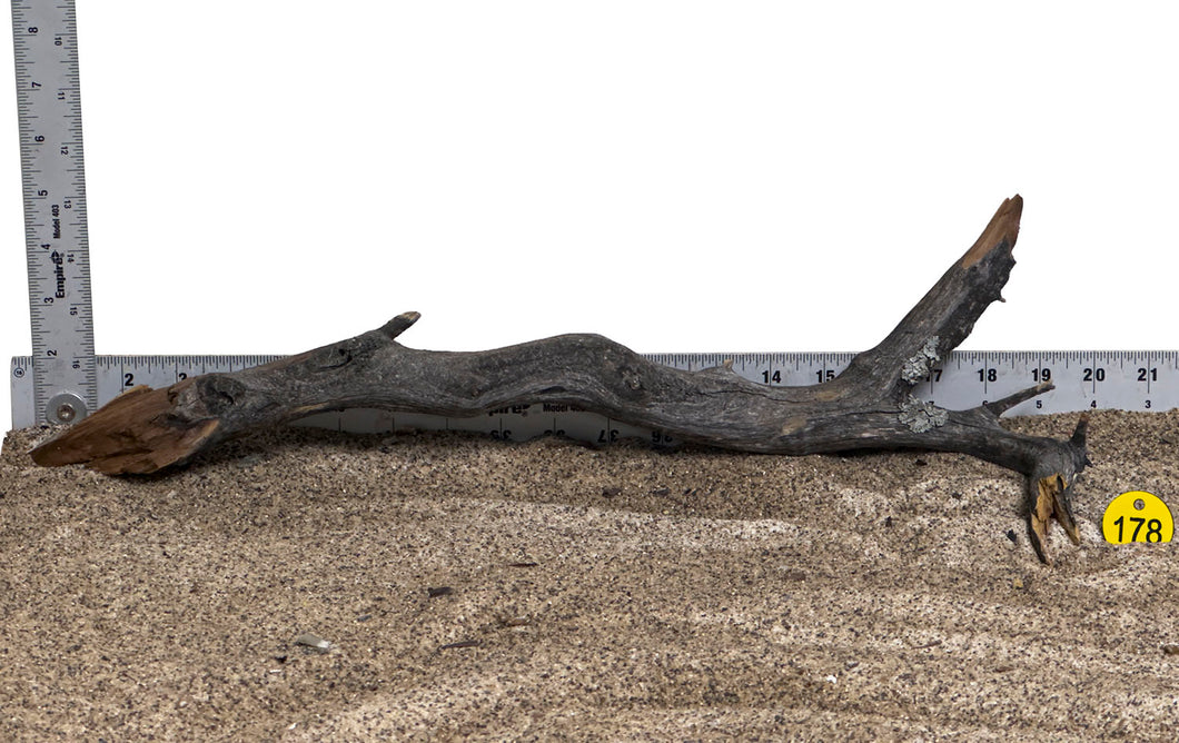 WYSIWYG #178Y - Manzanita Wood (Large)