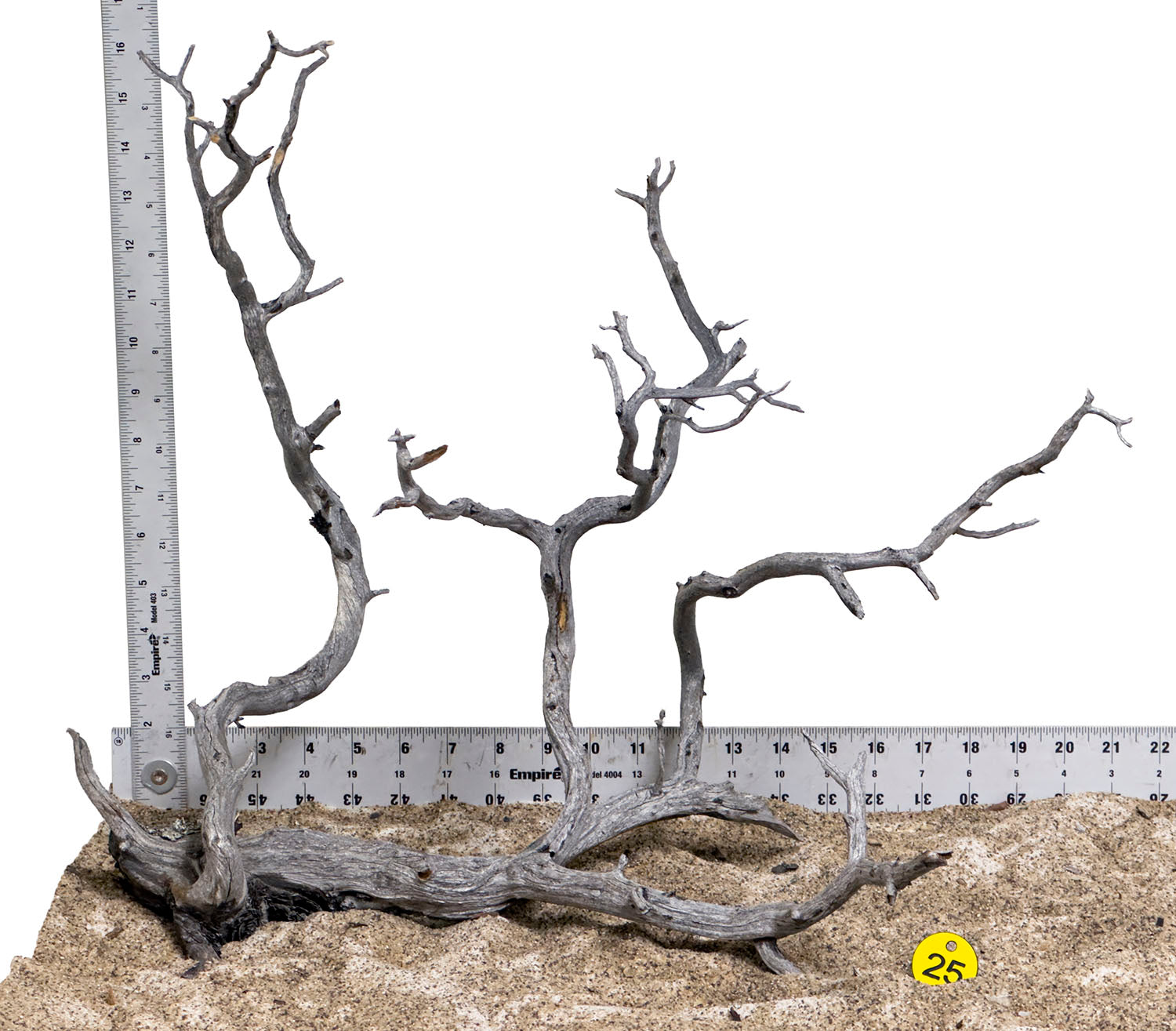 WYSIWYG #25Y - Manzanita Wood (Medium)