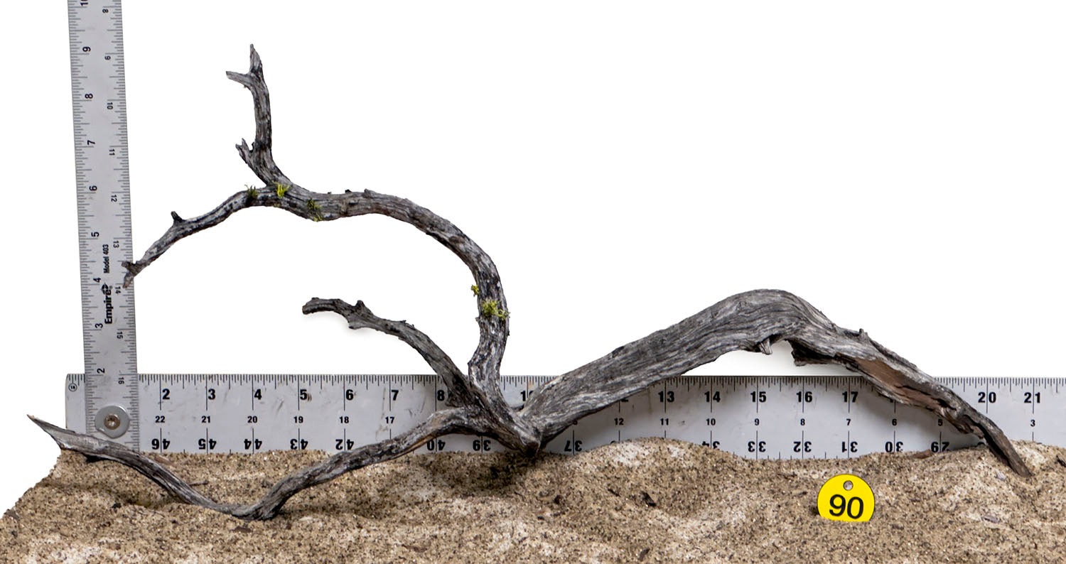 WYSIWYG #90Y - Manzanita Wood (Medium)