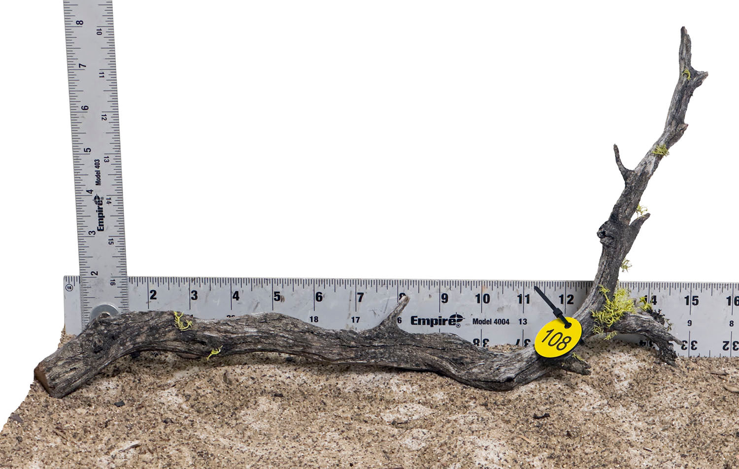 WYSIWYG #108Y - Manzanita Wood (Medium)