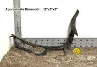 Thumbnail for WYSIWYG #131Y - Manzanita Wood (Small)