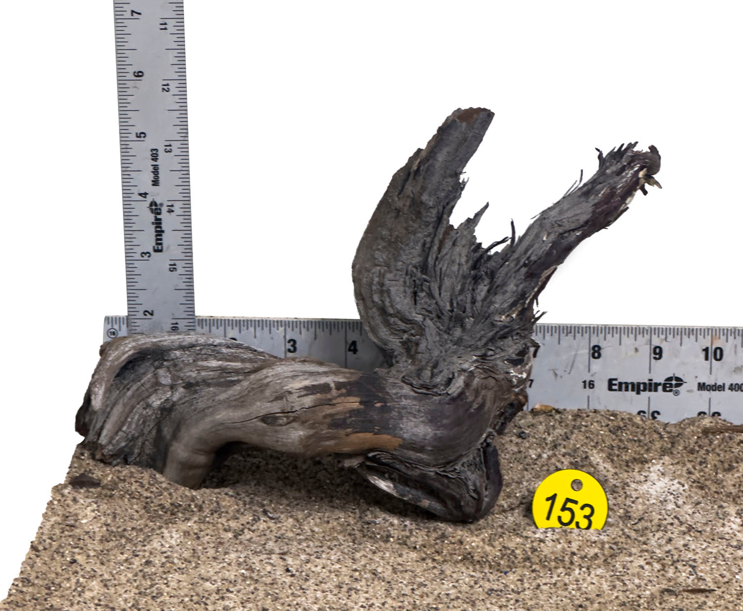 WYSIWYG #153Y - Manzanita Wood (Small)