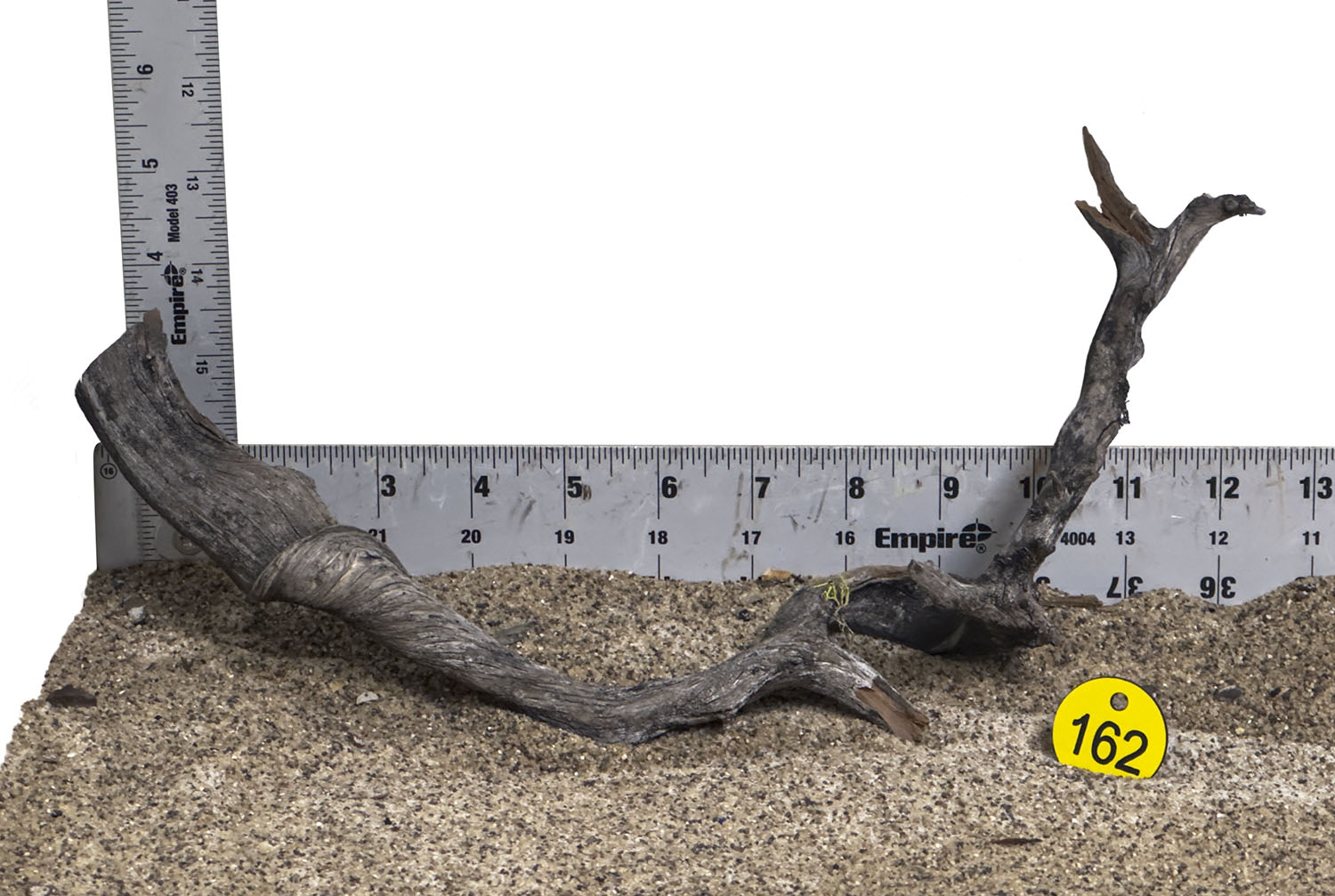 WYSIWYG #162Y - Manzanita Wood (Small)