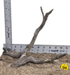 WYSIWYG #94Y - Manzanita Wood (Small)