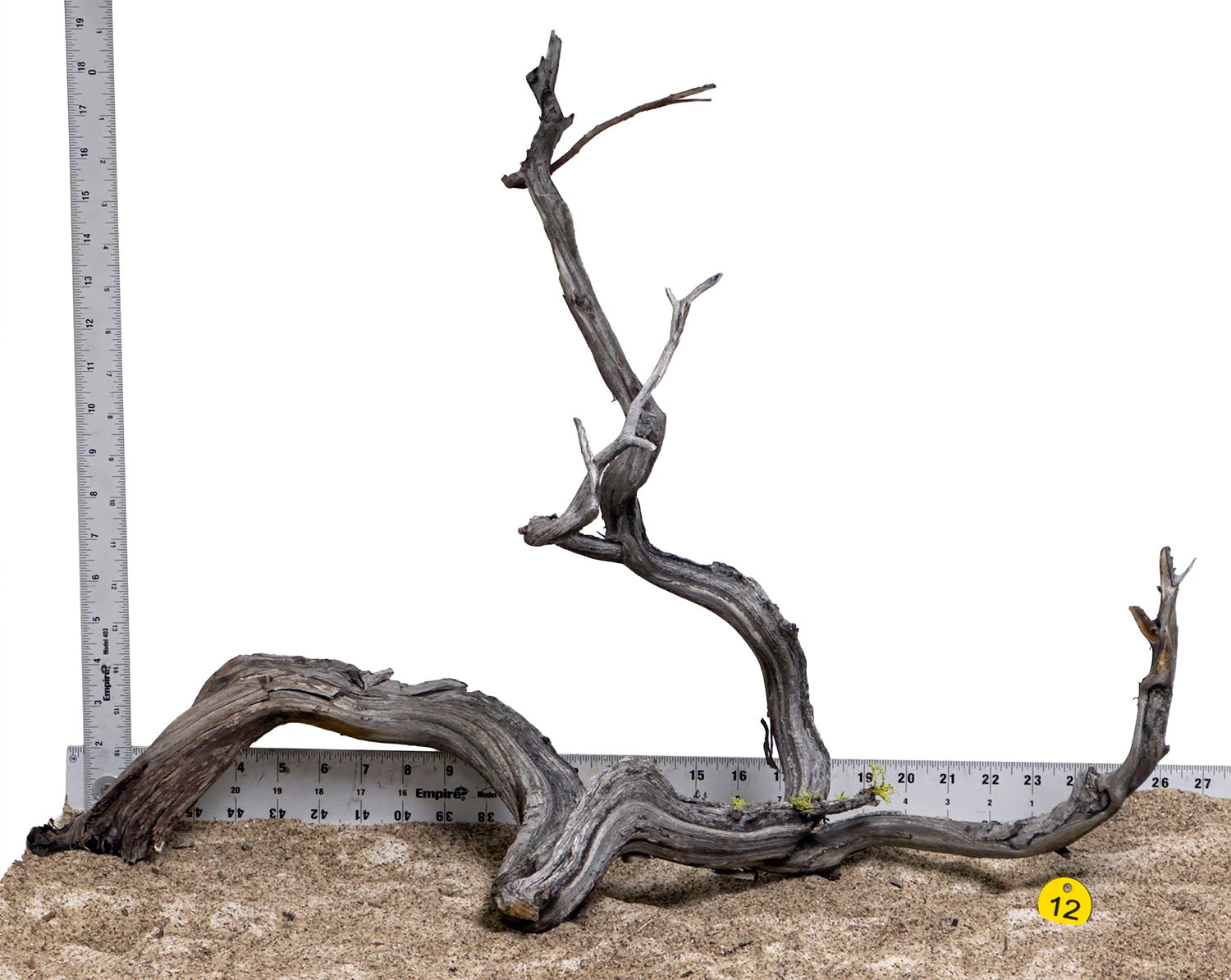 WYSIWYG #12Y - Manzanita Wood (XL)