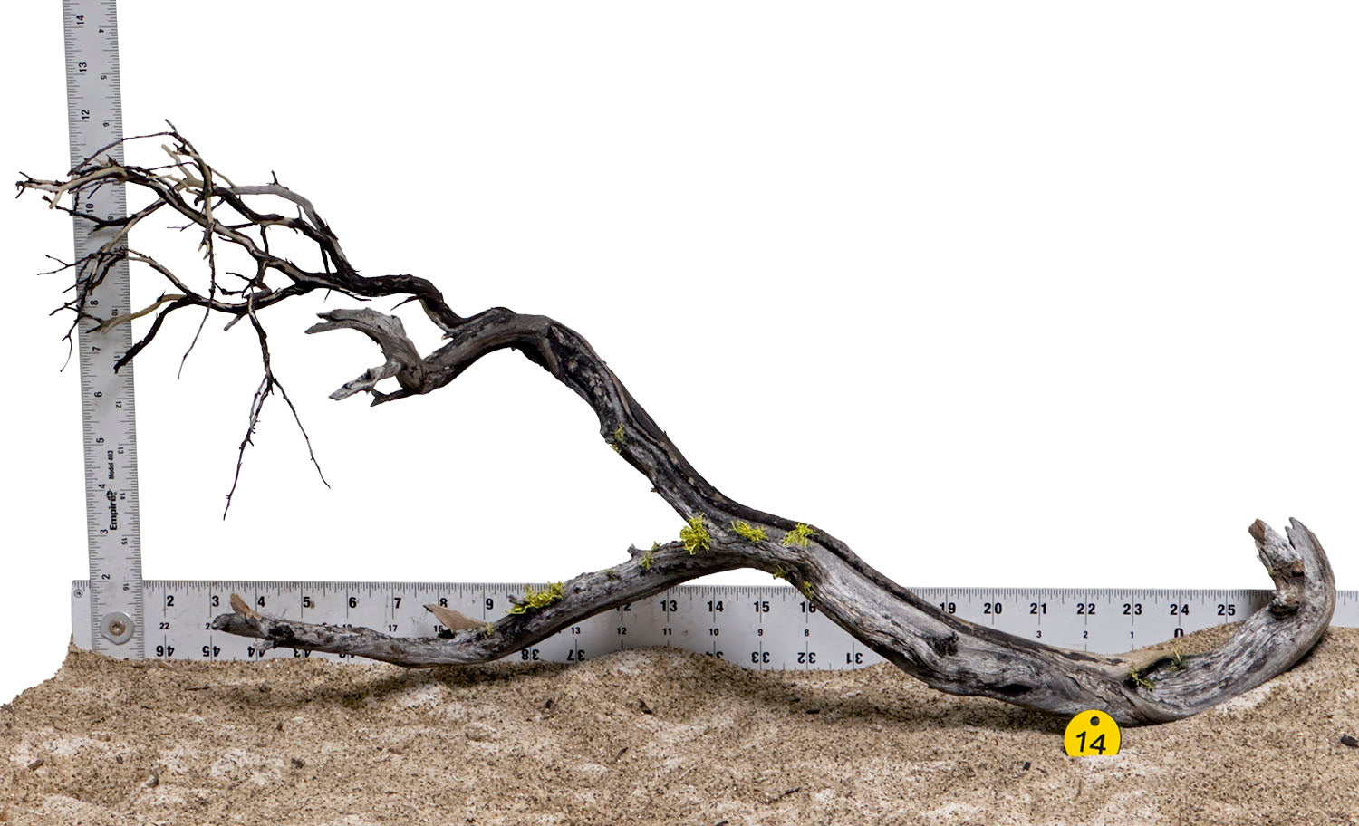 WYSIWYG #14Y - Manzanita Wood (XL)