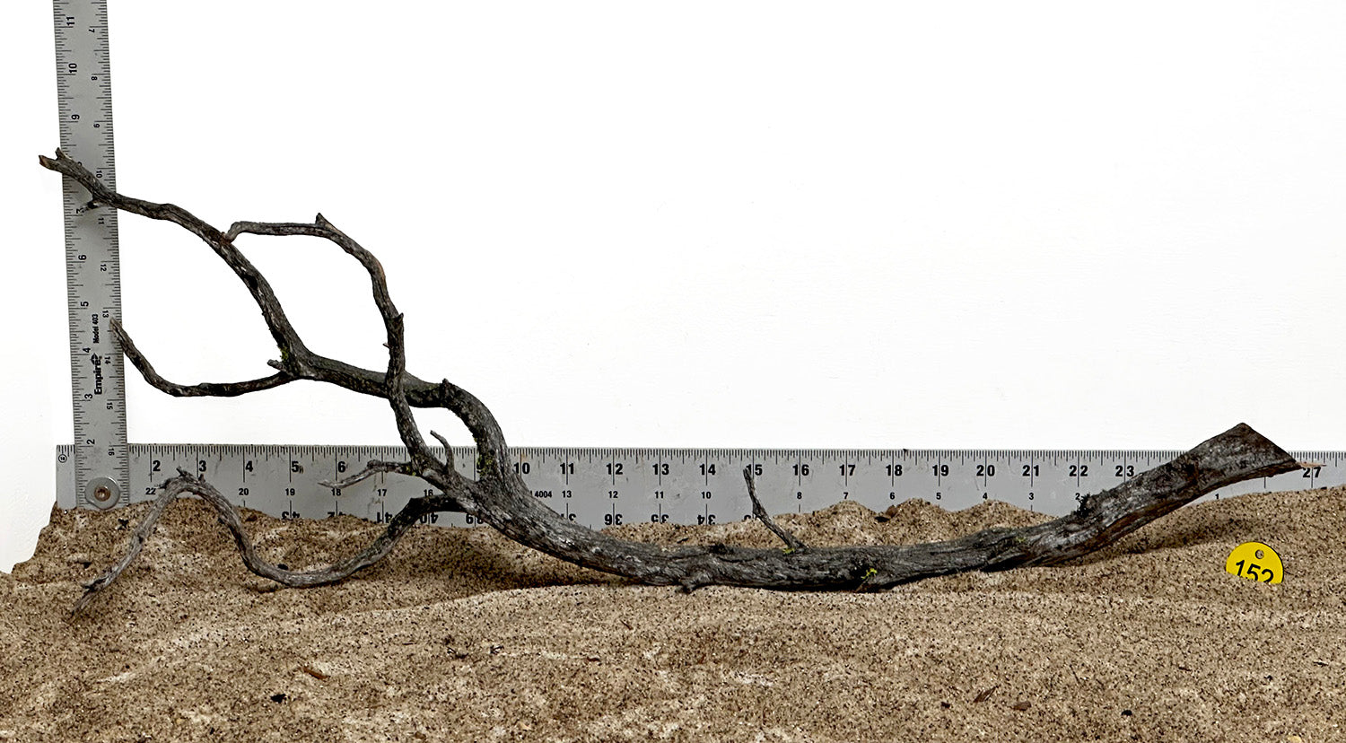 WYSIWYG #152Y - Manzanita Wood (Large)