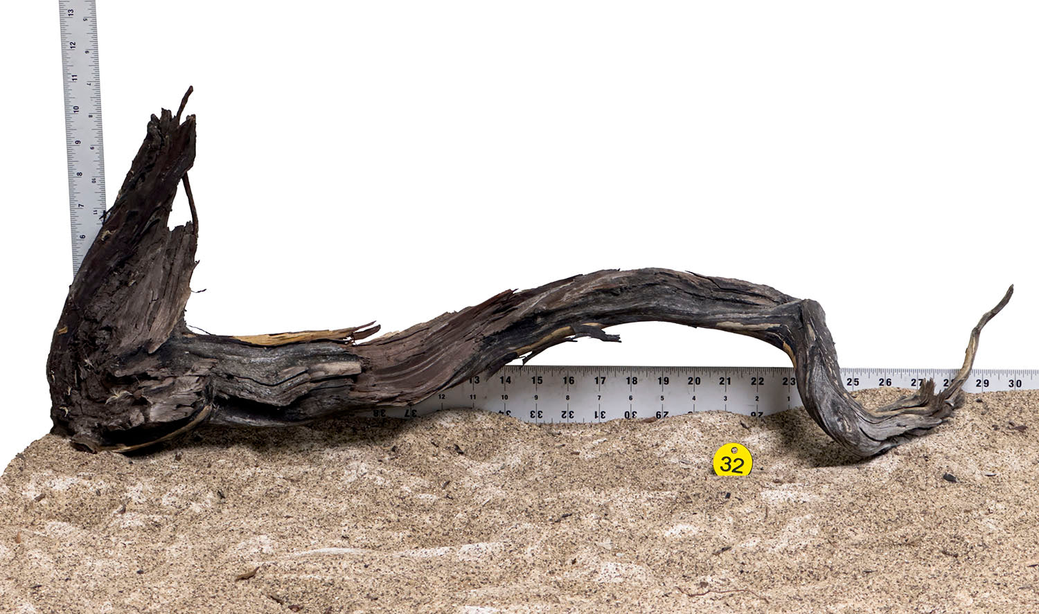 WYSIWYG #32Y - Manzanita Wood (XL)