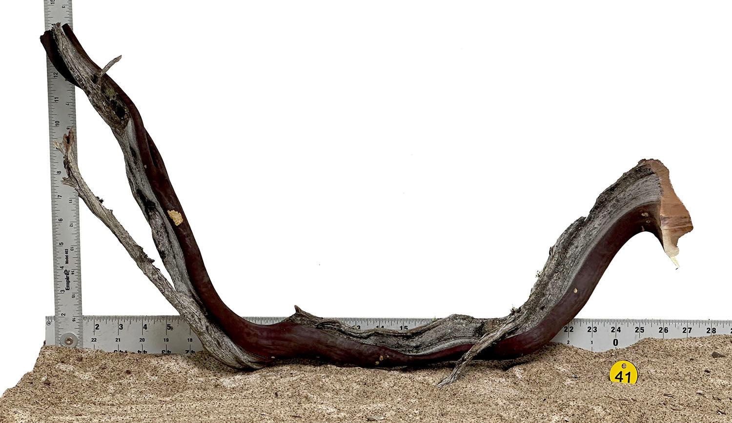 WYSIWYG #41Y - Manzanita Wood (XL)