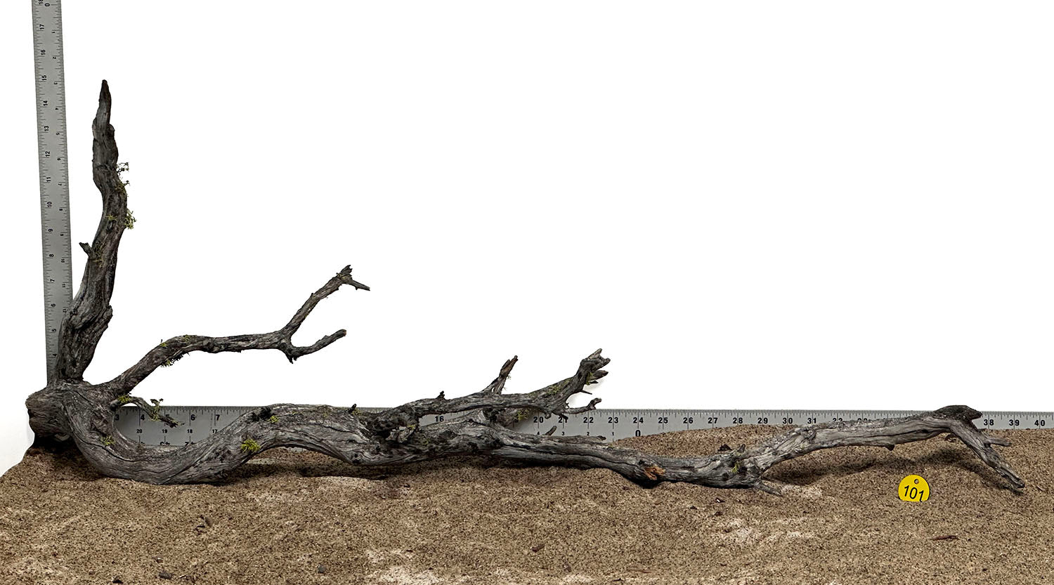 WYSIWYG #101Y - Manzanita Wood (XXL)